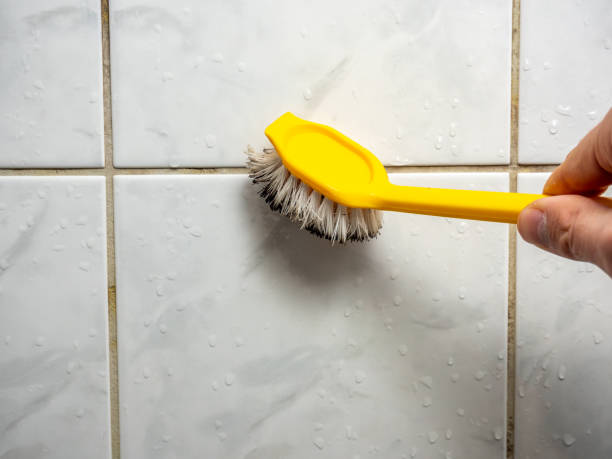 Best Post-Flood Mold Remediation in Martinez, CA