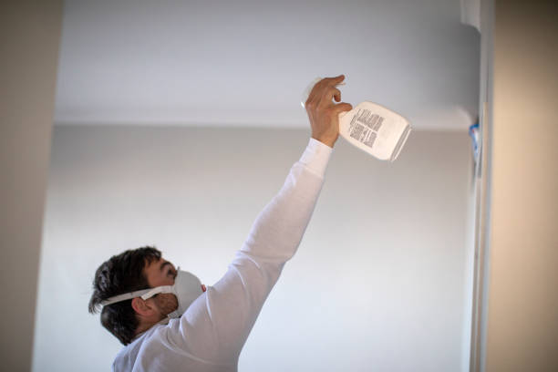 Best Bathroom Mold Remediation in Martinez, CA
