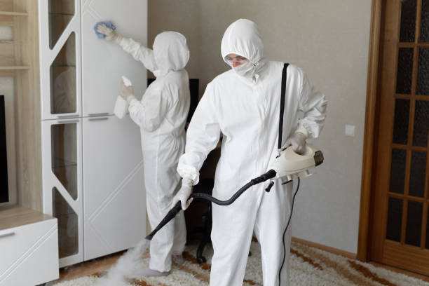 Best Industrial Mold Remediation in Martinez, CA